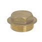 1/2" BRASS FLANGE PLUG